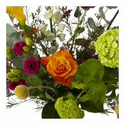 Boeket De Lente Klein -Flamingo Verkoop boeket de lente boeketten 3