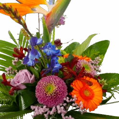 Boeket Deluxe Special Voor Jou Klein -Flamingo Verkoop boeket deluxe special voor jou boeketten 2 1