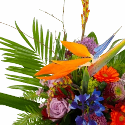 Boeket Deluxe Special Voor Jou Middel -Flamingo Verkoop boeket deluxe special voor jou boeketten 3 2