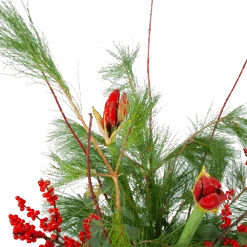 Boeket Deluxe Winter Klein 9 Boeket Deluxe Winter Klein -Flamingo Verkoop boeket deluxe winter boeketten 3 1