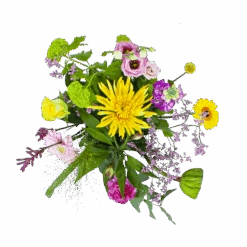 Boeket Eline Klein -Flamingo Verkoop boeket eline boeketten 2