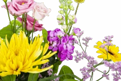 Boeket Eline Groot -Flamingo Verkoop boeket eline boeketten 3 2