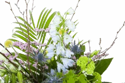 Boeket Erica Middel -Flamingo Verkoop boeket erica boeketten 3 1