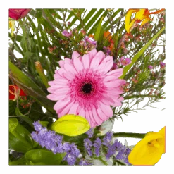 Boeket Heerlijke Lente Deluxe Middel -Flamingo Verkoop boeket heerlijke lente deluxe boeketten 3 1