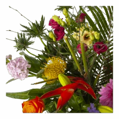 Boeket Heerlijke Lente Deluxe Groot 11 Boeket Heerlijke Lente Deluxe Groot -Flamingo Verkoop boeket heerlijke lente deluxe boeketten 4