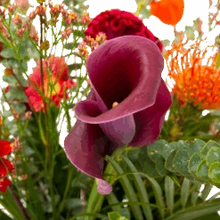 Boeket Herfst Warmte Middel -Flamingo Verkoop boeket herfst warmte middel boeketten 4