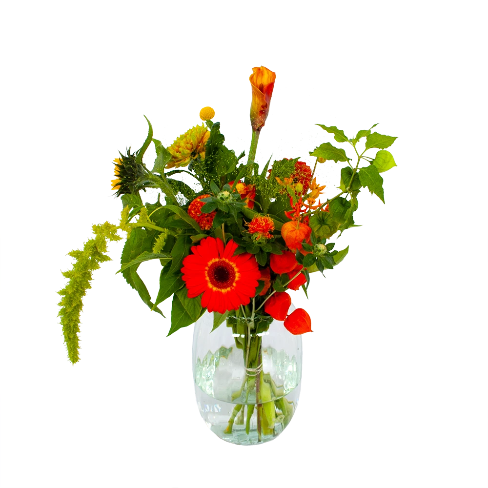 Boeket Herfst Uit Het Veld Middel 3 Boeket Herfst Uit Het Veld Middel