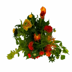 Boeket Herfst Uit Het Veld Middel 9 Boeket Herfst Uit Het Veld Middel -Flamingo Verkoop boeket herst uit het veld middel boeketten 2 1