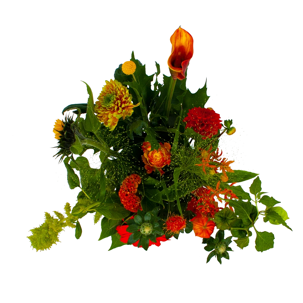 Boeket Herfst Uit Het Veld Middel 4 Boeket Herfst Uit Het Veld Middel - Afbeelding 2