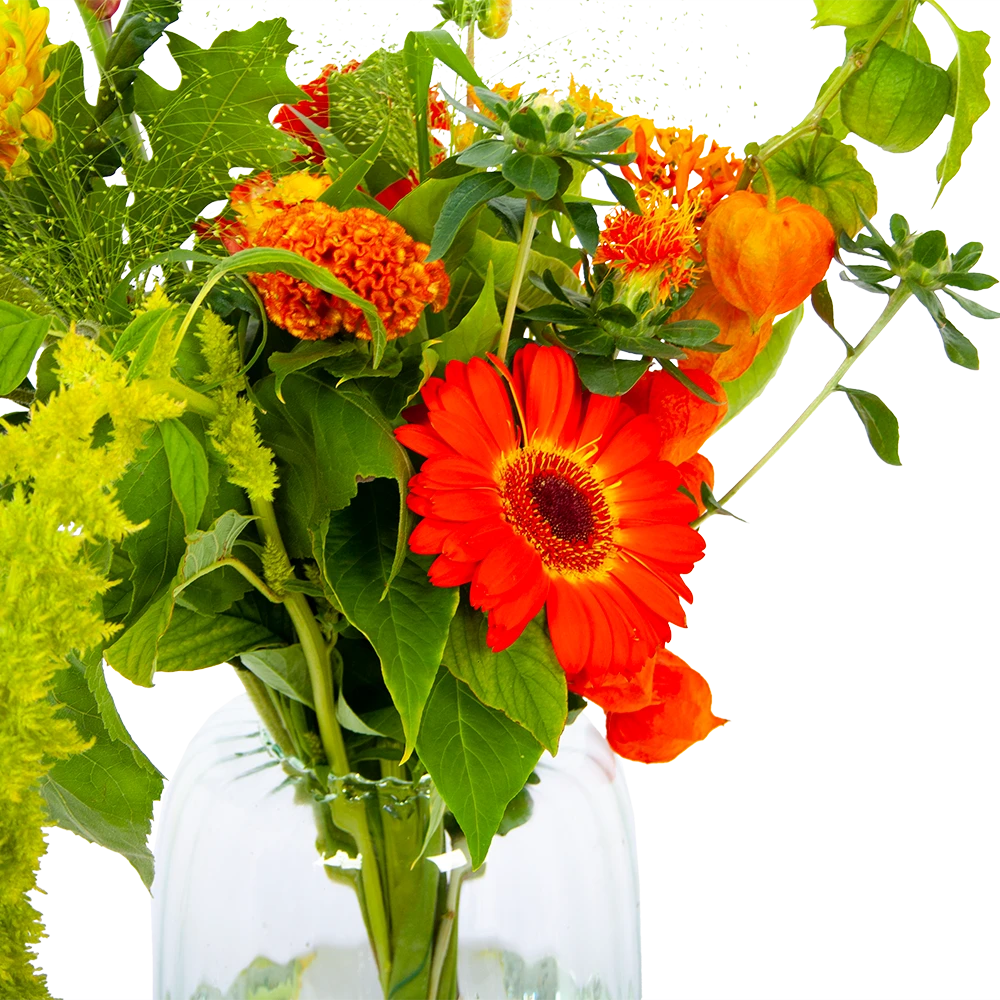 Boeket Herfst Uit Het Veld Middel 5 Boeket Herfst Uit Het Veld Middel - Afbeelding 3