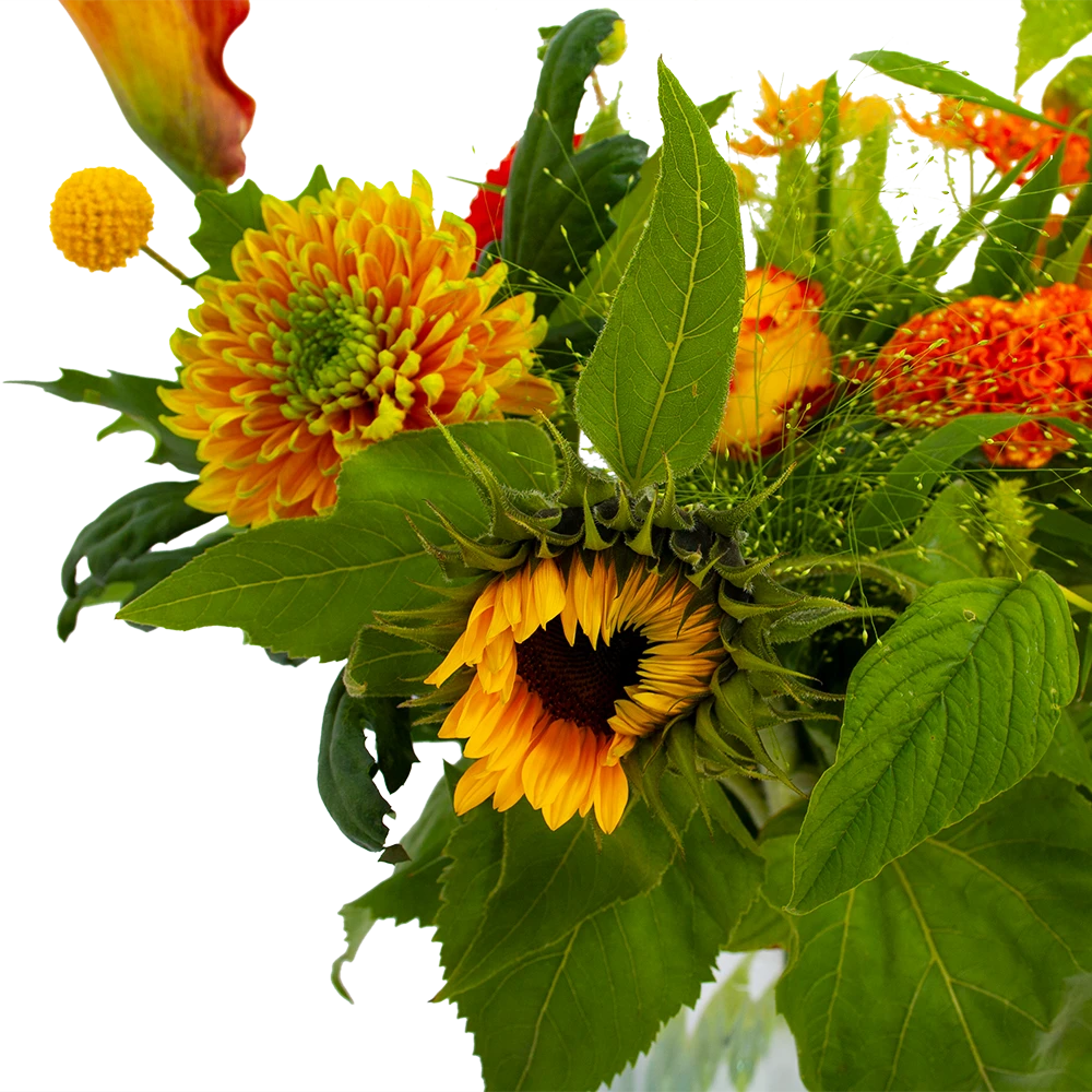 Boeket Herfst Uit Het Veld Middel 6 Boeket Herfst Uit Het Veld Middel - Afbeelding 4