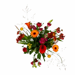 Boeket Hippe Herfst Klein 9 Boeket Hippe Herfst Klein -Flamingo Verkoop boeket hippe herfst klein boeketten 2 1