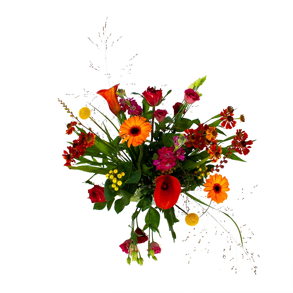 Boeket Hippe Herfst Klein 4 Boeket Hippe Herfst Klein - Afbeelding 2