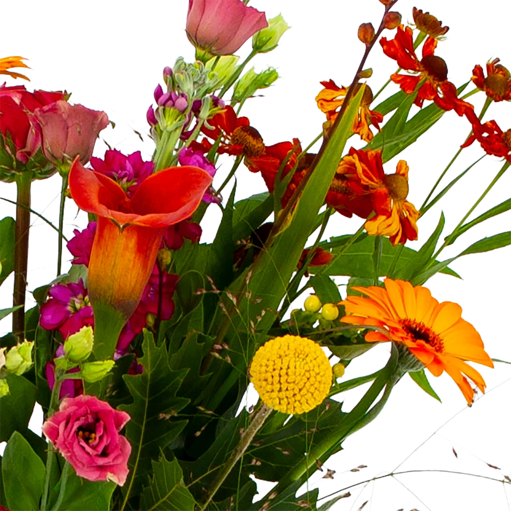 Boeket Hippe Herfst Klein 6 Boeket Hippe Herfst Klein - Afbeelding 4