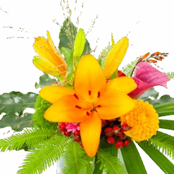 Boeket Klassiek Najaar Groot 10 Boeket Klassiek Najaar Groot -Flamingo Verkoop boeket klassiek najaar groot boeketten 3 1