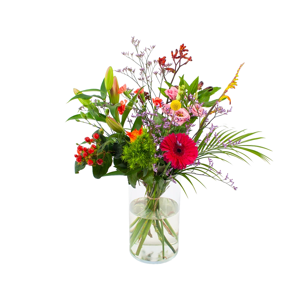 Boeket Kleurrijk Geplukt Groot 3 Boeket Kleurrijk Geplukt Groot