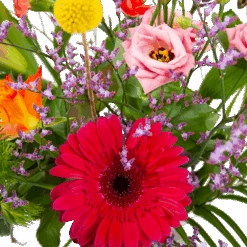 Boeket Kleurrijk Geplukt Groot 8 Boeket Kleurrijk Geplukt Groot -Flamingo Verkoop boeket kleurrijk geplukt boeketten 2 2