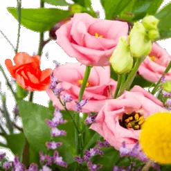 Boeket Kleurrijk Geplukt Klein -Flamingo Verkoop boeket kleurrijk geplukt boeketten 3