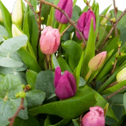 Boeket Kleurrijke Tulp Klein 9 Boeket Kleurrijke Tulp Klein -Flamingo Verkoop boeket kleurrijke tulp boeketten 3 1