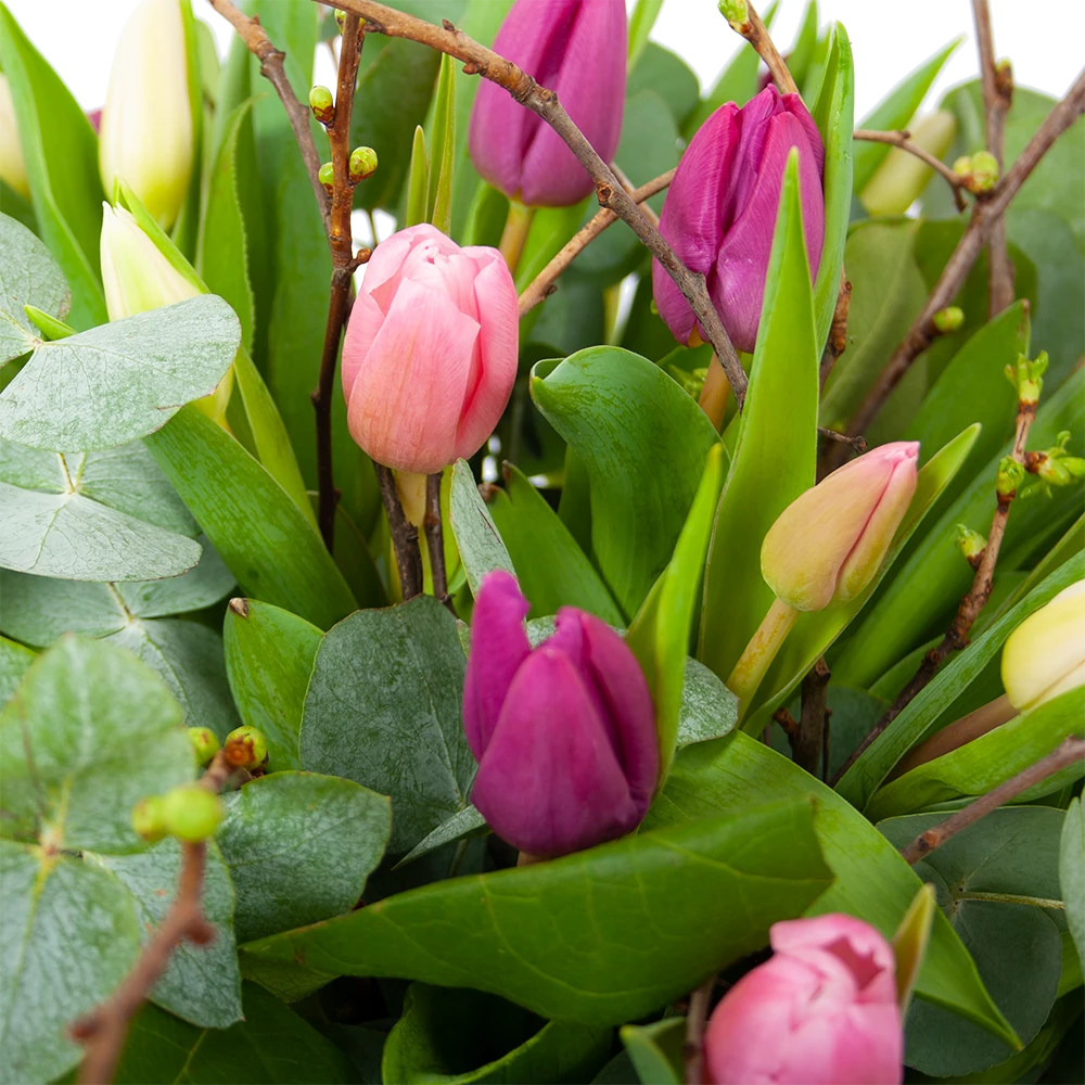 Boeket Kleurrijke Tulp Groot 5 Boeket Kleurrijke Tulp Groot - Afbeelding 3