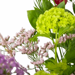 Boeket Kleurrijke Verrassing Middel -Flamingo Verkoop boeket kleurrijke verrassing boeketten 2 1