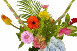 Boeket Lach Groot 10 Boeket Lach Groot -Flamingo Verkoop boeket lach boeketten 3 1