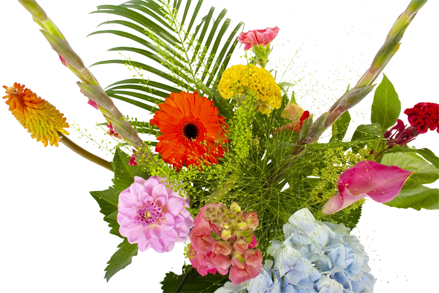 Boeket Lach Groot 5 Boeket Lach Groot - Afbeelding 3