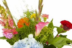 Boeket Lach Middel -Flamingo Verkoop boeket lach boeketten 4 1 2