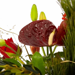 Boeket Liefdevolle Kerst Klein -Flamingo Verkoop boeket liefdevolle kerst boeketten 4 1 2