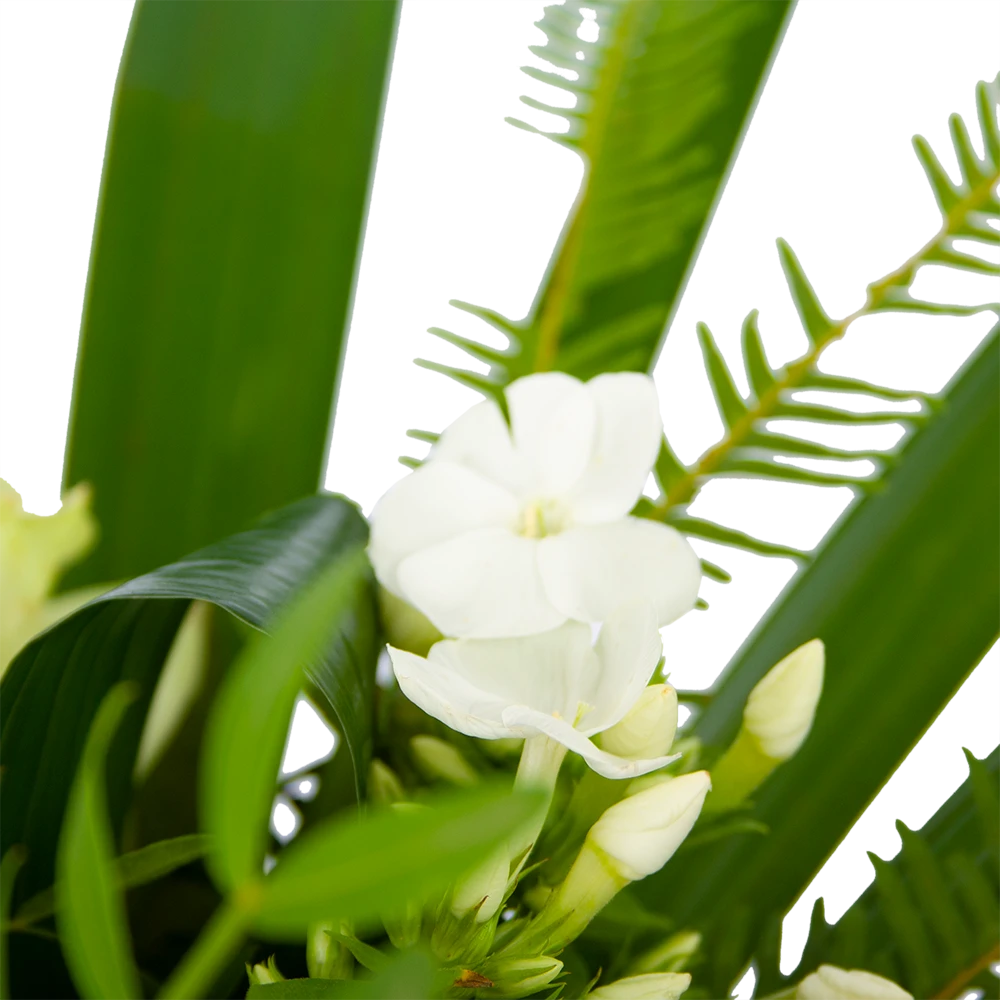 Boeket Liefdevolle Winter Klein 5 Boeket Liefdevolle Winter Klein - Afbeelding 3