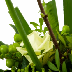 Boeket Liefdevolle Winter Klein 11 Boeket Liefdevolle Winter Klein -Flamingo Verkoop boeket liefdevolle winter boeketten 4 2