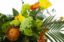 Boeket Martinus Middel -Flamingo Verkoop boeket martinus boeketten 3 1