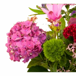 Boeket Paarse Passie Groot -Flamingo Verkoop boeket paarse passie groot boeketten 3