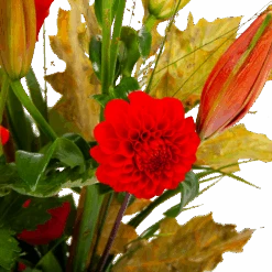 Boeket Pluim Van Het Najaar Middel 10 Boeket Pluim Van Het Najaar Middel -Flamingo Verkoop boeket pluim van het najaar middel boeketten 3