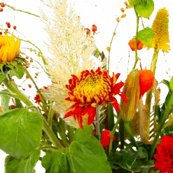 Boeket Pluim Van Het Najaar Middel 11 Boeket Pluim Van Het Najaar Middel -Flamingo Verkoop boeket pluim van het najaar middel boeketten 4