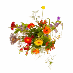 Boeket Plukgeluk Groot -Flamingo Verkoop boeket plukgeluk groot boeketten 2