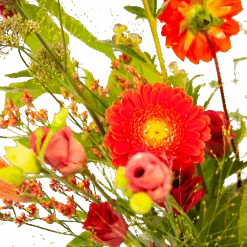 Boeket Plukgeluk Groot -Flamingo Verkoop boeket plukgeluk groot boeketten 3