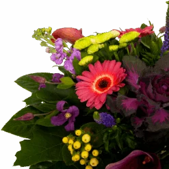 Boeket Purple Groot -Flamingo Verkoop boeket purple groot boeketten 3 1