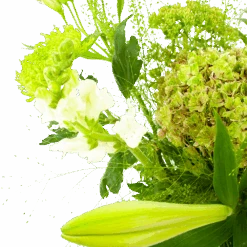 Boeket Puur Natuur Groot 10 Boeket Puur Natuur Groot -Flamingo Verkoop boeket puur natuur boeketten 3 1 1