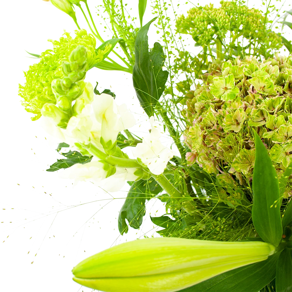 Boeket Puur Natuur Middel 5 Boeket Puur Natuur Middel - Afbeelding 3