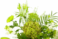 Boeket Puur Natuur Groot 11 Boeket Puur Natuur Groot -Flamingo Verkoop boeket puur natuur boeketten 4 1 1