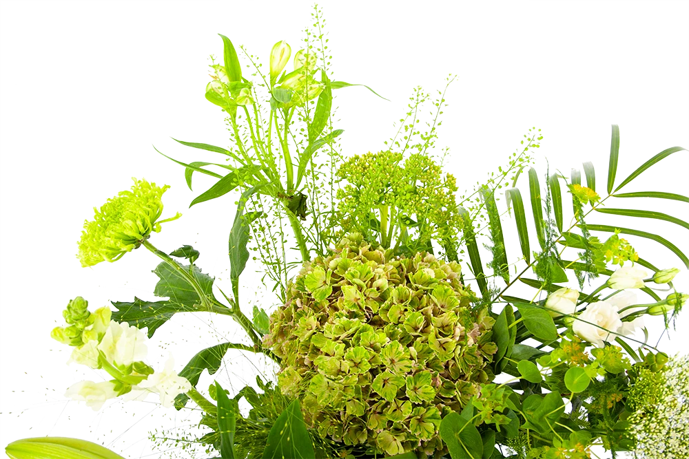 Boeket Puur Natuur Middel 6 Boeket Puur Natuur Middel - Afbeelding 4