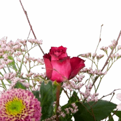 Boeket Roze Verrassing Klein 9 Boeket Roze Verrassing Klein -Flamingo Verkoop boeket roze verrassing boeketten 3