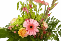 Boeket Sanne Groot -Flamingo Verkoop boeket sanne boeketten 3 1 1