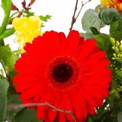 Boeket Speciale Verrassing Klein -Flamingo Verkoop boeket speciale verrassing boeketten 3 1