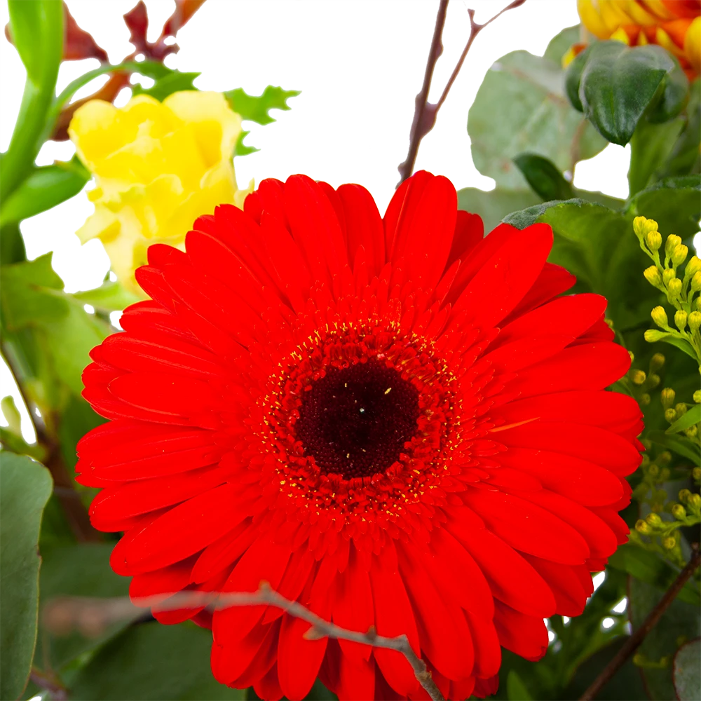 Boeket Speciale Verrassing Middel 5 Boeket Speciale Verrassing Middel - Afbeelding 3