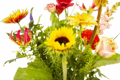 Boeket Vlinder Middel -Flamingo Verkoop boeket vlinder boeketten 3 3 2