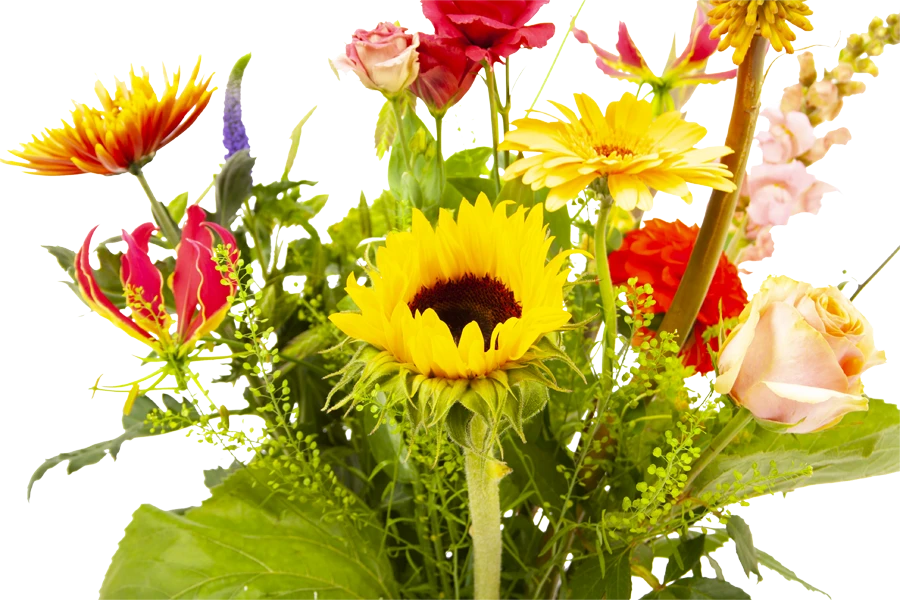 Boeket Vlinder Klein 5 Boeket Vlinder Klein - Afbeelding 3