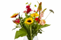 Boeket Vlinder Middel -Flamingo Verkoop boeket vlinder boeketten 4 3 2