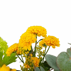 Boeket Vrolijk Geel Klein 8 Boeket Vrolijk Geel Klein -Flamingo Verkoop boeket vrolijk geel boeketten 2 2